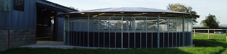 Kinsale Stud