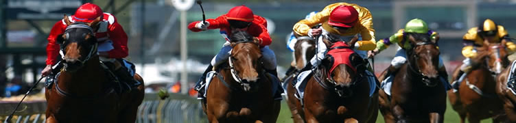 Kinsale Stud